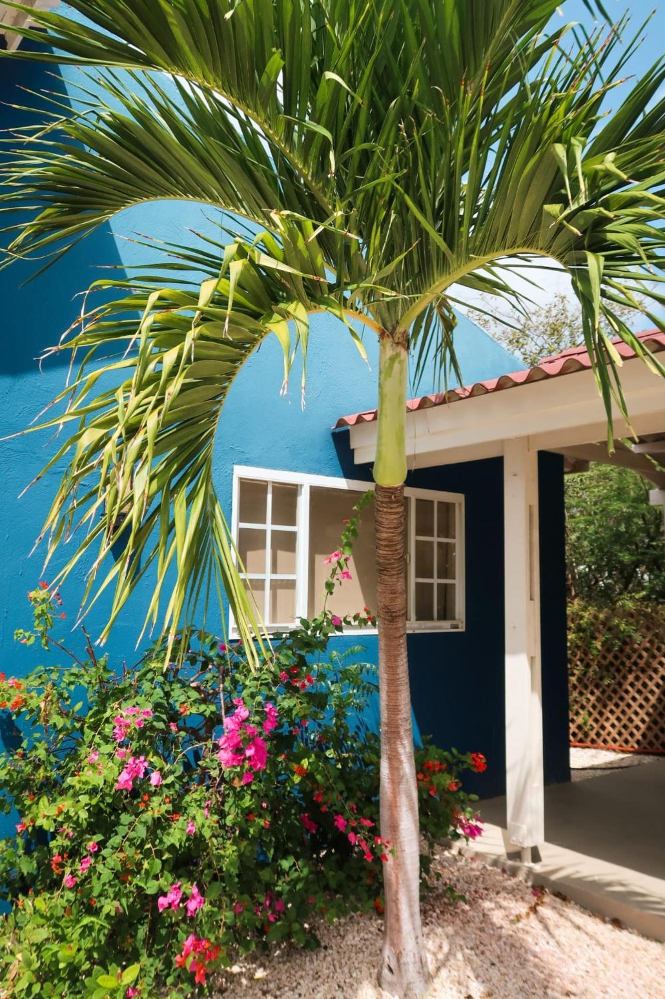 Mini Resort Kaya Verdi Willemstad Luaran gambar
